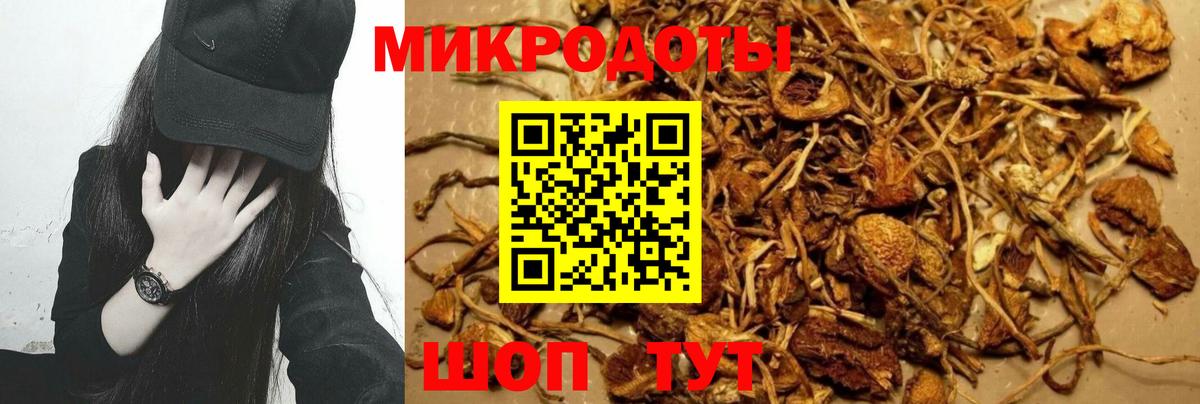 Галлюциногенные грибы мицелий Шадринск